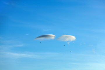 Three small crows fly in tandem with two lenticular cloud puffs floating in expansive of light blue evening sky.