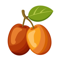 Jujube Fruit Illustration – Fresh Ripe Fruit with Leaf