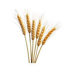 Fototapeta premium Golden Wheat Sheaves on Transparent Background Agriculture Harvest Symbol