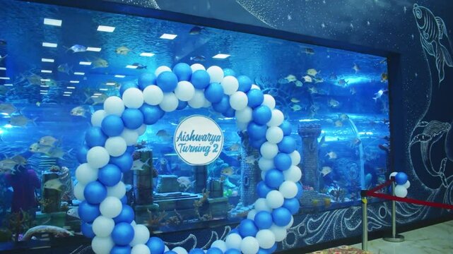 A large aquarium displays numerous fish,including silver biddies ( *Gerres filamentosus*).