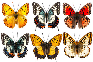 Collection of butterflies on white background in high definition