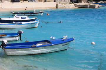 boats in the harbor