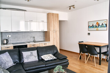 Modern living room and kitchen with leather sofa and dining table in open space