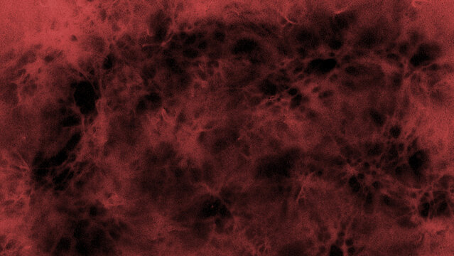 Funori 01 Red 4K