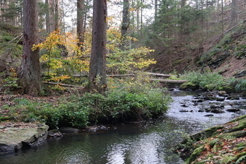 Valley of river Doubrava, Czech Republic