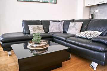 Modern black leather sofa with cushions in stylish living room interior