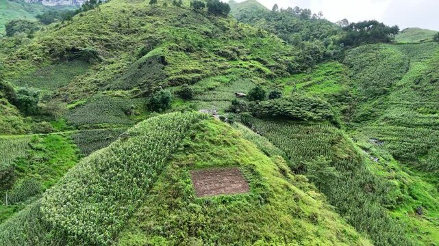 hills of Ha Giang, Vietnam, with patchy farmland and dense green vegetation covering the slopes