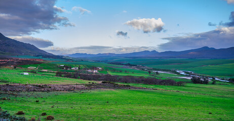 Obraz premium Lush valley with river and sheep between Hermanus and Caledon, Overberg, South Africa