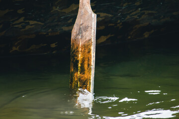 Close-up of a weathered wooden oar in dark green water, India.  Simple composition, emphasizing...