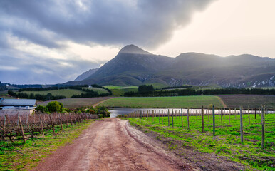 4x4 road leading to a dam and mountain peak at Creation Wines, Hermanus, South Africa