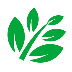 Naklejka premium Green organic leaf PNG, eco friendly clipart, natural plant graphic