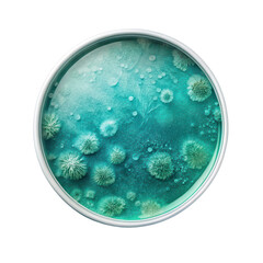 phytoplankton png microscopic marine phytoplankton illustration png algae plankton cell png ocean primary producer PNG transparent background image