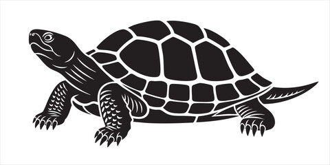 Vector Artwork Of A Turtle With Intricate Shell Patterns