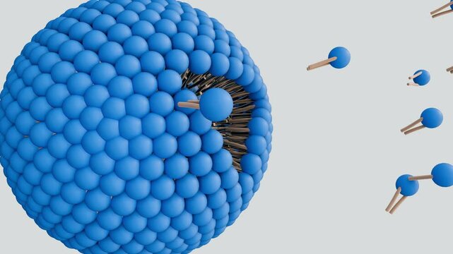 A 3D animation of the spontaneous self-assembly of phospholipid molecules into a stable, spherical liposome structure.