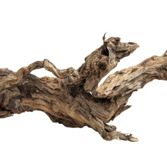 A twisted piece of weathered driftwood with intricate textures and natural curves resembling an abstract sculpture.