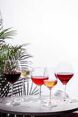 Discover an exquisite selection of wines including red, white, and rose displayed elegantly for a vibrant tasting experience