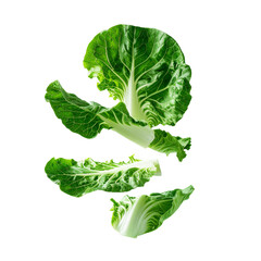 Fototapeta premium Fresh green lettuce leaves against black background