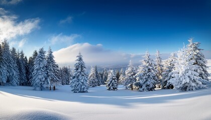 Fototapeta premium snow covered trees on snow covered landscape