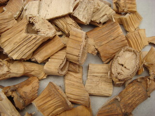 Fototapeta premium Rhizome of Common Reed (Phragmites australis) used as traditional Korean herb