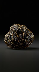 Black Truffle in Gold Geometric Frame - Luxury Food Image