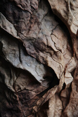 Eternal Whispers: The Beauty of Folds and Creases in Time's Tapestry