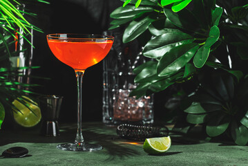 Refreshing orange alcoholic cocktail with mezcal and citrus flavors served in a stylish glass at a...