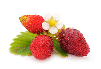 Wild strawberry isolated on white background