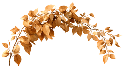 golden autumn leaves