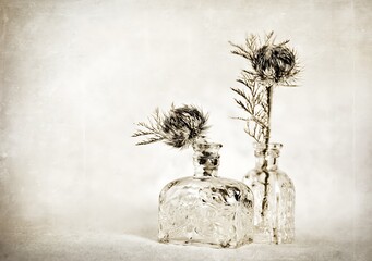 Elegant antique thistle floral still life