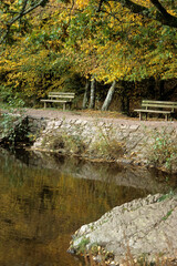 Lac au miroir aux f&eacute;es, l&eacute;gende de Merlin l' enchanteur, le Graal, Foret de Broc&eacute;liande, 56, Morbihan, France