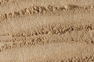 Natural Flaxseed Flour Texture. Healthy Background with Text Area.