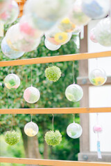 花がクリアボールに入っている