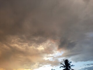 storm clouds over the forest