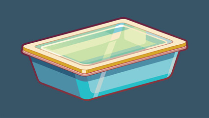 Empty Plastic Food Container: A digitally illustrated, empty, rectangular plastic food container with a clear lid, suitable for food storage or takeout. 