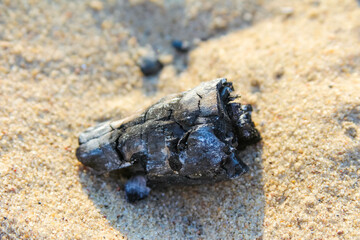 Dark mineral rock formation creating natural contrast against light colored sandy beach