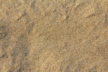 Smooth sandy beach surface with natural texture patterns and fine grain detail