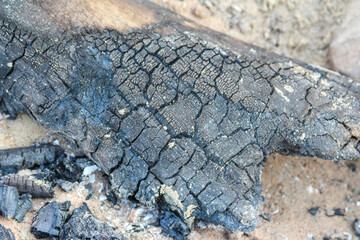 Weathered concrete surface with intricate crack patterns creating natural geometric textures in...