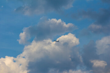 Magnificent cumulus clouds billowing across brilliant blue sky in perfect weather conditions for...