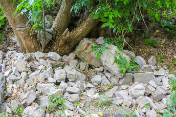 Rocky stream bed with scattered limestone stones and lush green vegetation around water