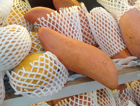 Thai manggo with orange color. Thai manggo Has big size. 