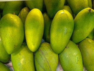Mango. fresh green manggoes arranged at shelves supermarket for sale. Mango is tropical fruit with vitamin c. 