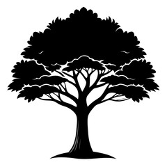 Black silhouette of a majestic mahogany tree against a bright sky