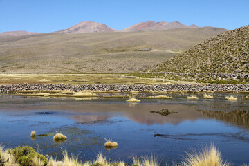 Scenic Colca Canyon – Peruvian Highlands