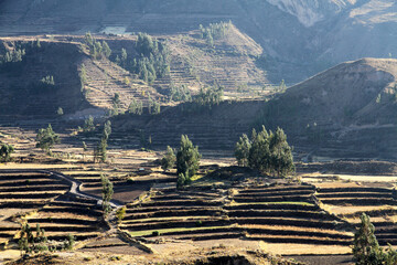 Scenic Colca Canyon – Peruvian Highlands