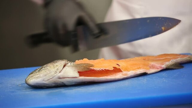 Chef's hands meticulously remove pin bones from fresh fish fillets using tweezers. This precise technique on a blue cutting board ensures high-quality, boneless fish for cooking.