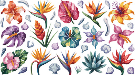 Watercolor Tropical Flowers Anthurium, Bird of Paradise, Lilies, Ginger with Seashells Illustration