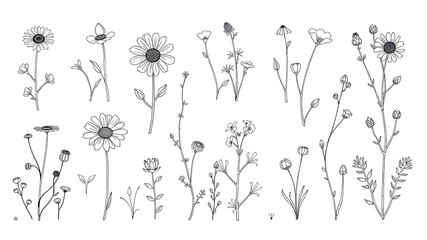 Collection of elegant hand drawn floral line art elements for decorative design and projects