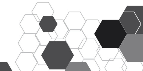 Black and white hexagon geometric patterned background vector illustration