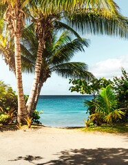 Tropical Beach Paradise: Palm Trees, Turquoise Ocean, Sandy Shore