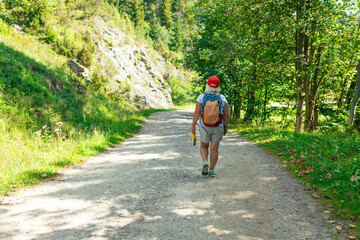 An active senior woman is seen walking alone along a scenic forest path surrounded by lush greenery...